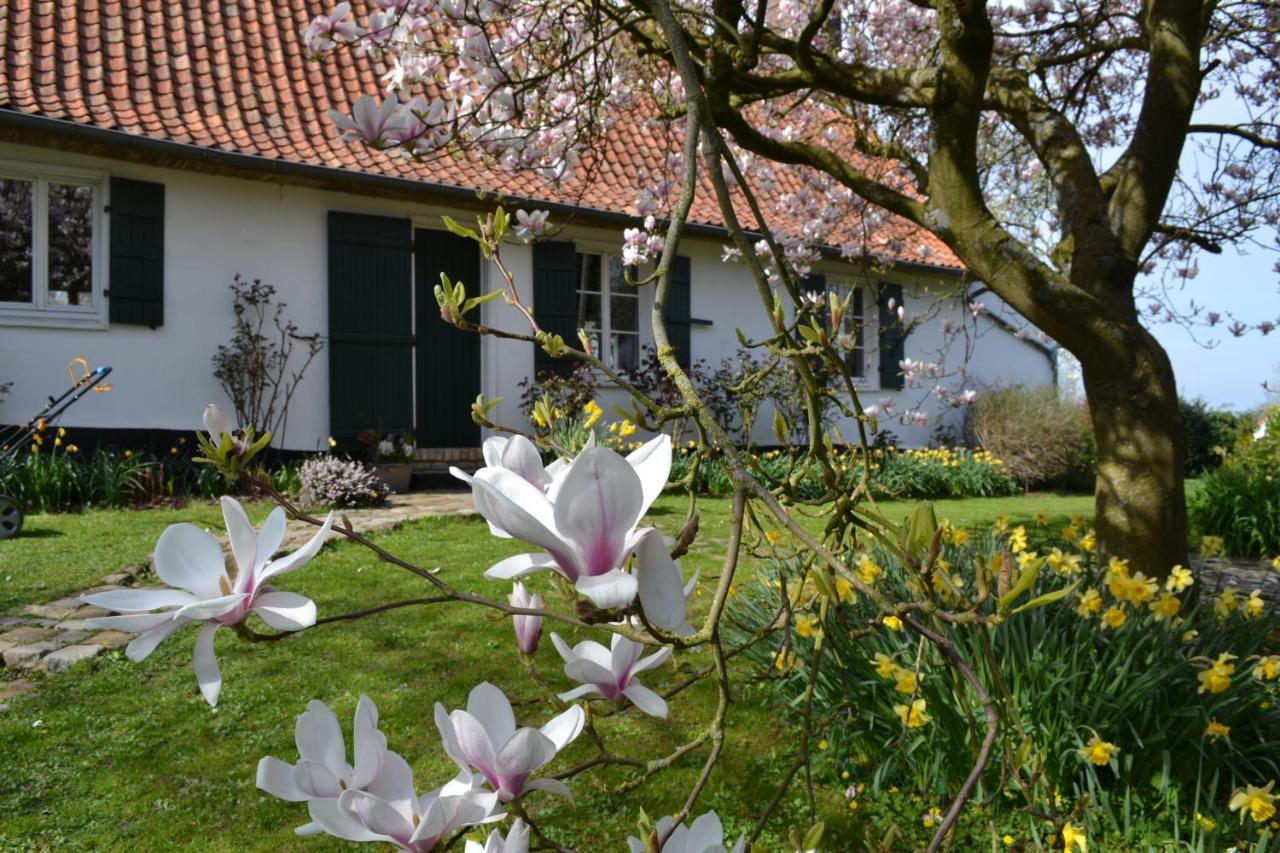 La Longere D'Ecottes Bed & Breakfast Licques Eksteriør bilde
