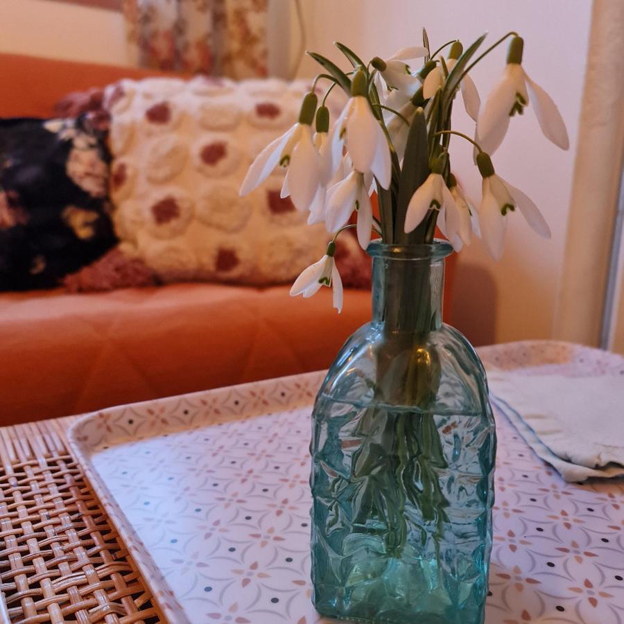 La Longere D'Ecottes Bed & Breakfast Licques Eksteriør bilde